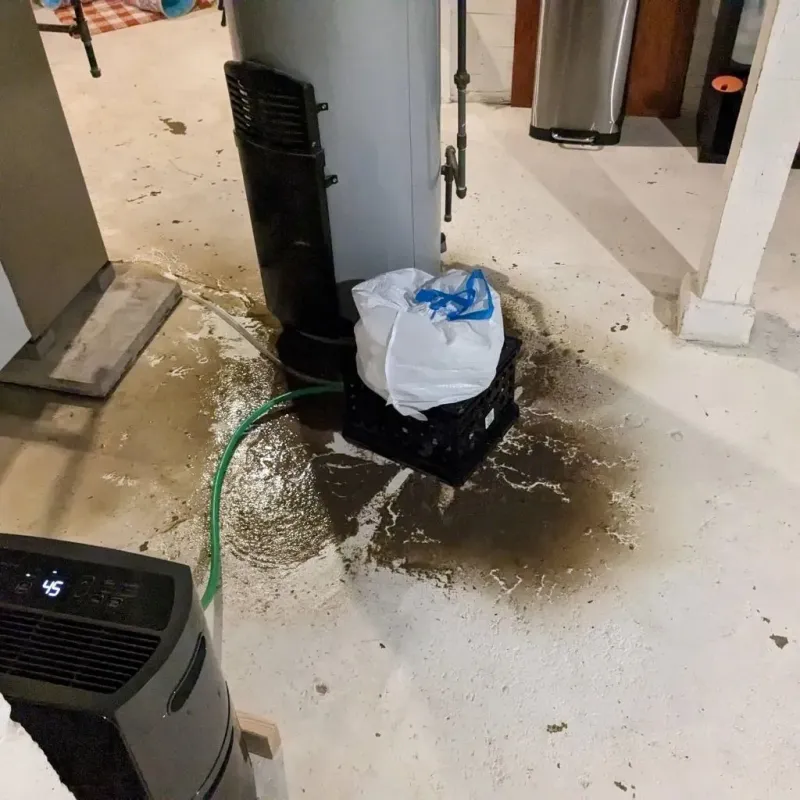 Sewage Backup Cleanup Service in Taft, CA